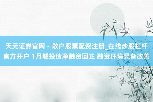 天元证券官网 - 散户股票配资注册_在线炒股杠杆官方开户 1月城投债净融资回正 融资环境旯旮改善