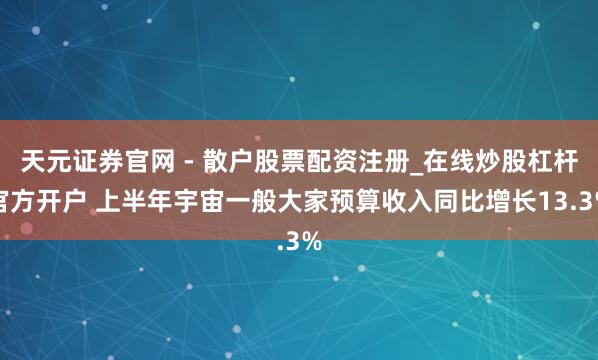 天元证券官网 - 散户股票配资注册_在线炒股杠杆官方开户 上半年宇宙一般大家预算收入同比增长13.3%