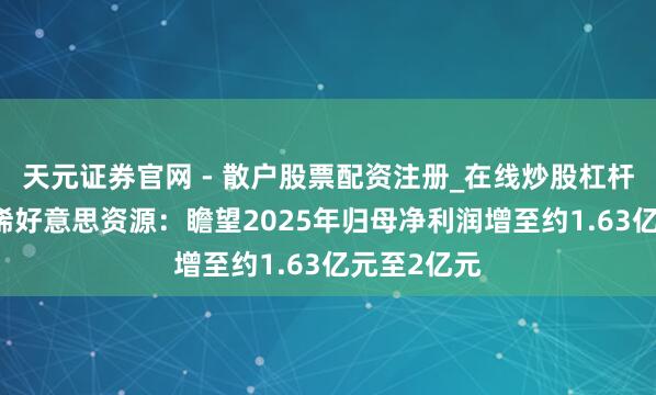 天元证券官网 - 散户股票配资注册_在线炒股杠杆官方开户 稀好意思资源：瞻望2025年归母净利润增至约1.63亿元至2亿元