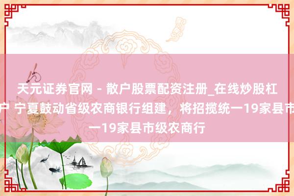 天元证券官网 - 散户股票配资注册_在线炒股杠杆官方开户 宁夏鼓动省级农商银行组建，将招揽统一19家县市级农商行